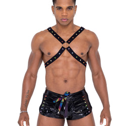 Mens Pride Harness