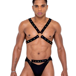 Mens Pride Harness