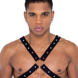 Mens Pride Harness